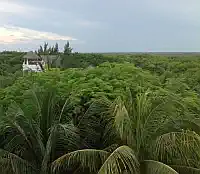 Casa Perros Afortunados Photo 8