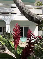 Casa Perros Afortunados Photo 37