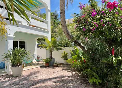 Casa Perros Afortunados - 3 Bedroom, 3 Bathroom, Private Plunge Pool